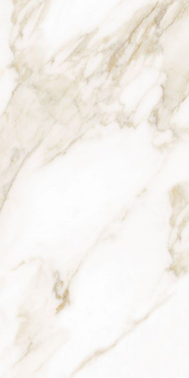 Classy Warm White Matte 12 x 24